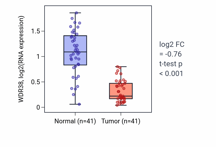 Tumor-vs-normal expression box plot for WDR38 RNA in THCA.