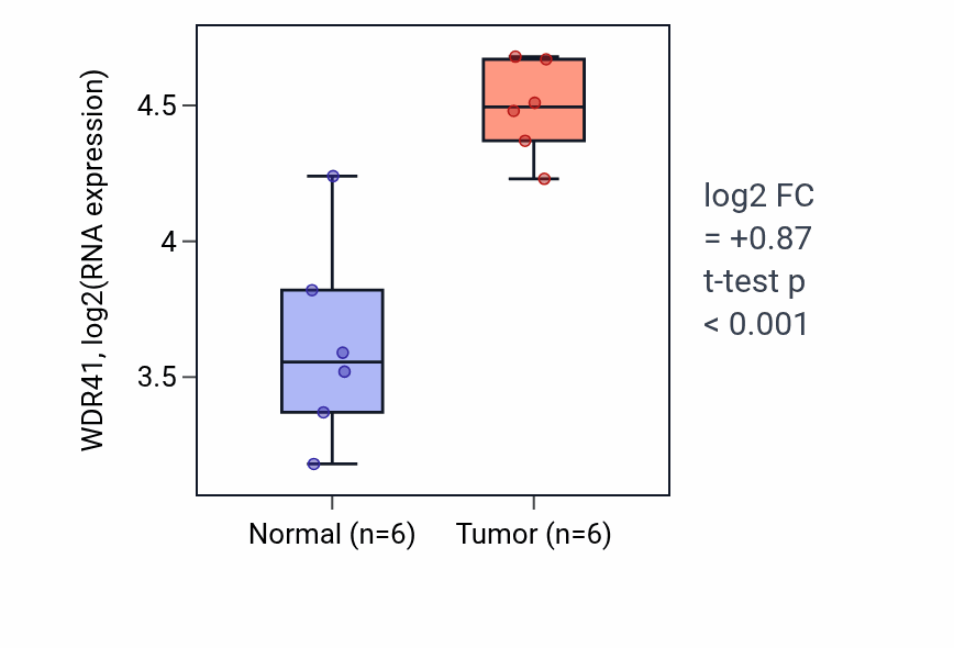 Tumor-vs-normal expression box plot for WDR41 RNA in KIRC.