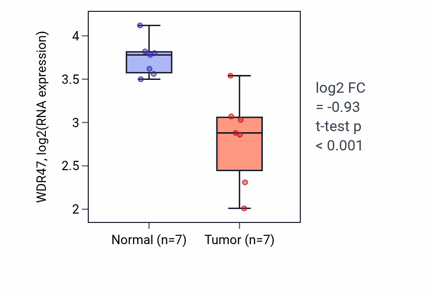 Tumor-vs-normal expression box plot for WDR47 RNA in THCA.