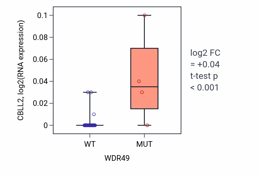 Box plot of CBLL2 in WDR49-low vs WDR49-high samples in LUNG_SCLC.