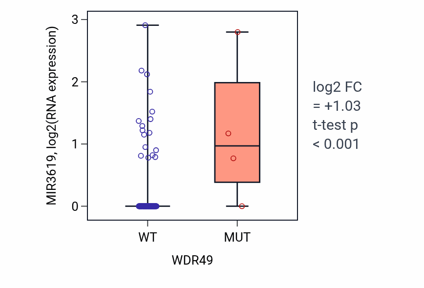 Box plot of MIR3619 in WDR49-low vs WDR49-high samples in READ.