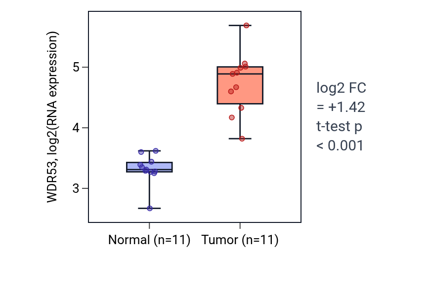 Tumor-vs-normal expression box plot for WDR53 in HNSC.