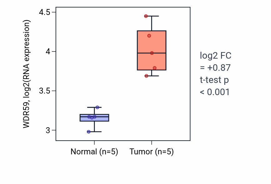 Tumor-vs-normal expression box plot for WDR59 RNA in COAD.