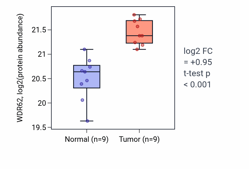Tumor-vs-normal mass-spec protein box plot for WDR62 in LSCC.
