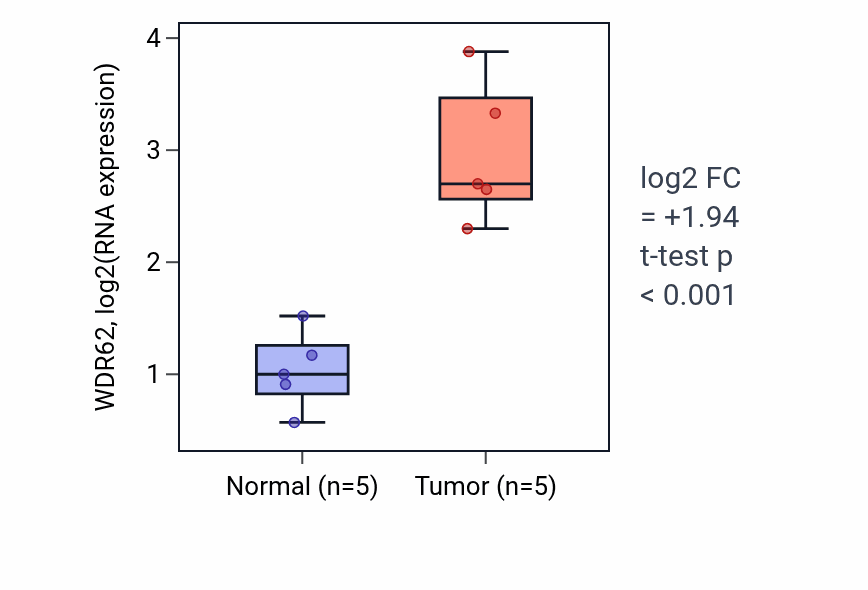 Tumor-vs-normal expression box plot for WDR62 RNA in COAD.