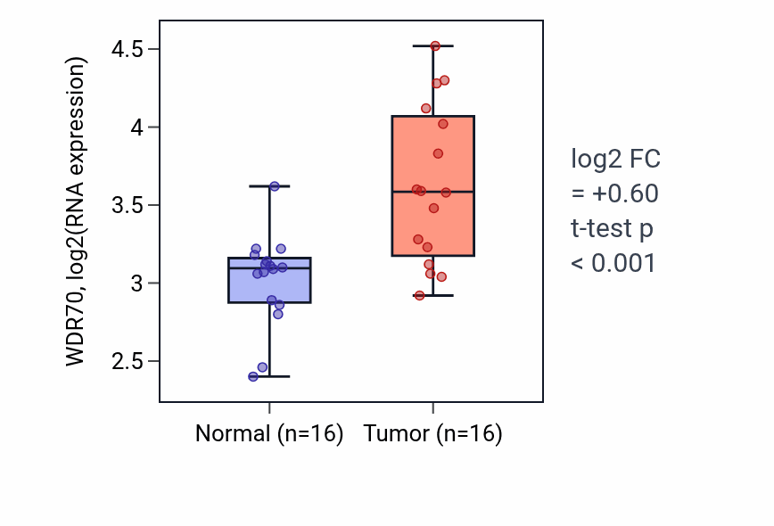 Tumor-vs-normal expression box plot for WDR70 RNA in HNSC.