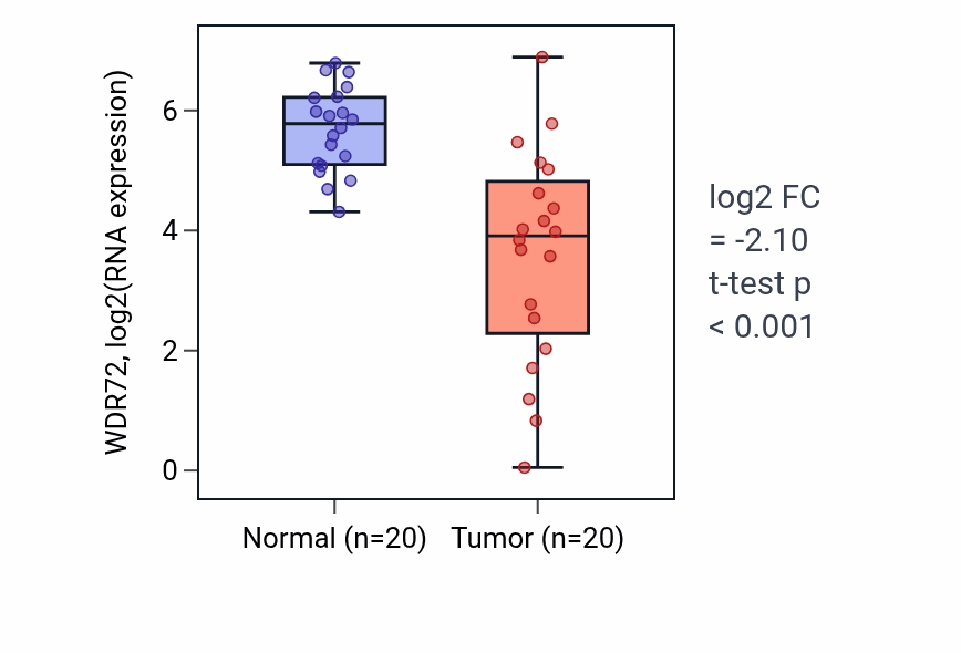 Tumor-vs-normal expression box plot for WDR72 in KIRC.