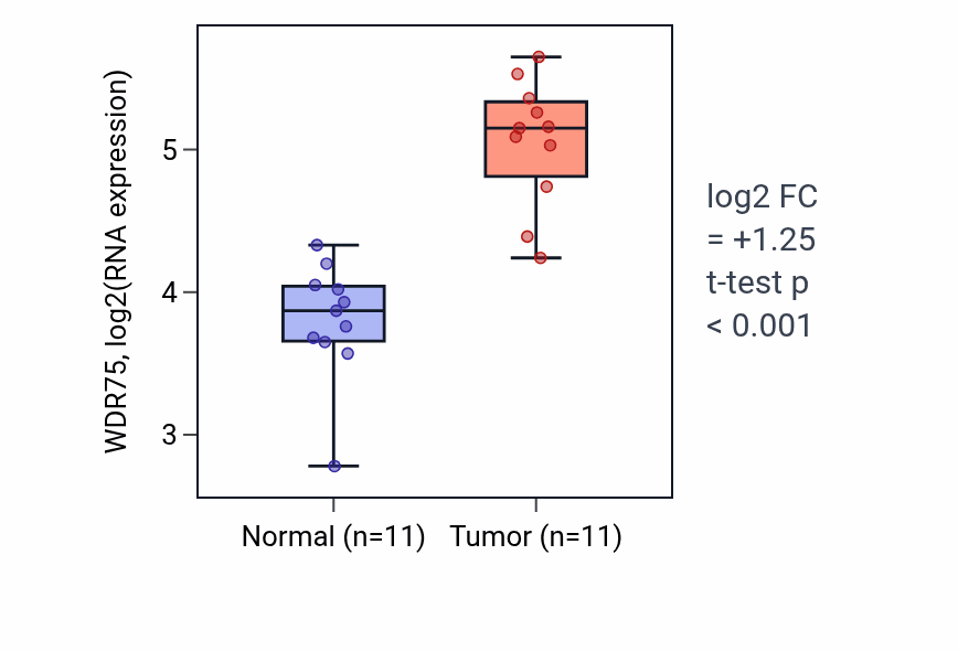 Tumor-vs-normal expression box plot for WDR75 RNA in HNSC.