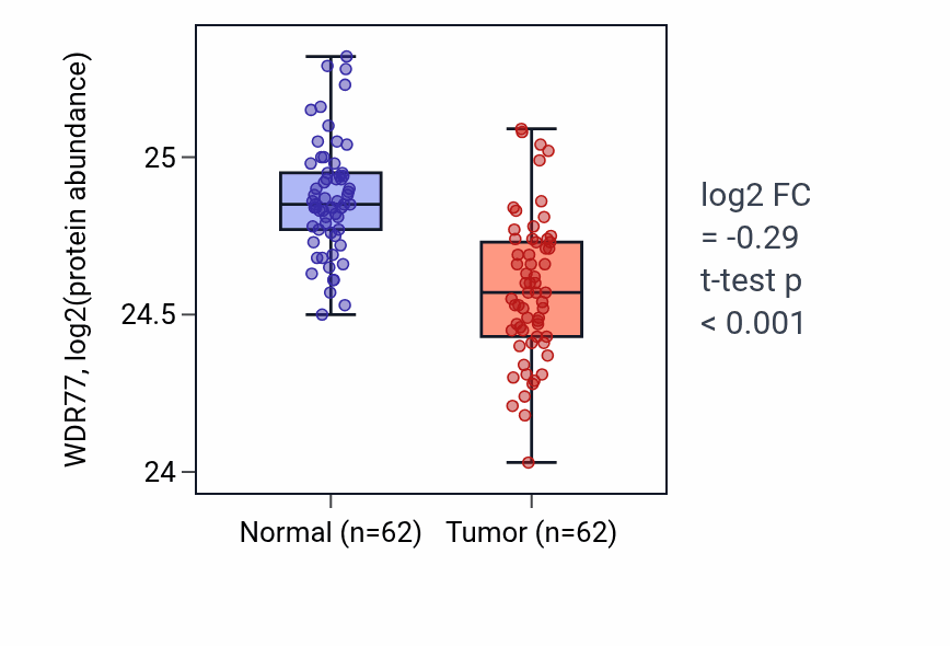 Tumor-vs-normal mass-spec protein box plot for WDR77 in HNSC.