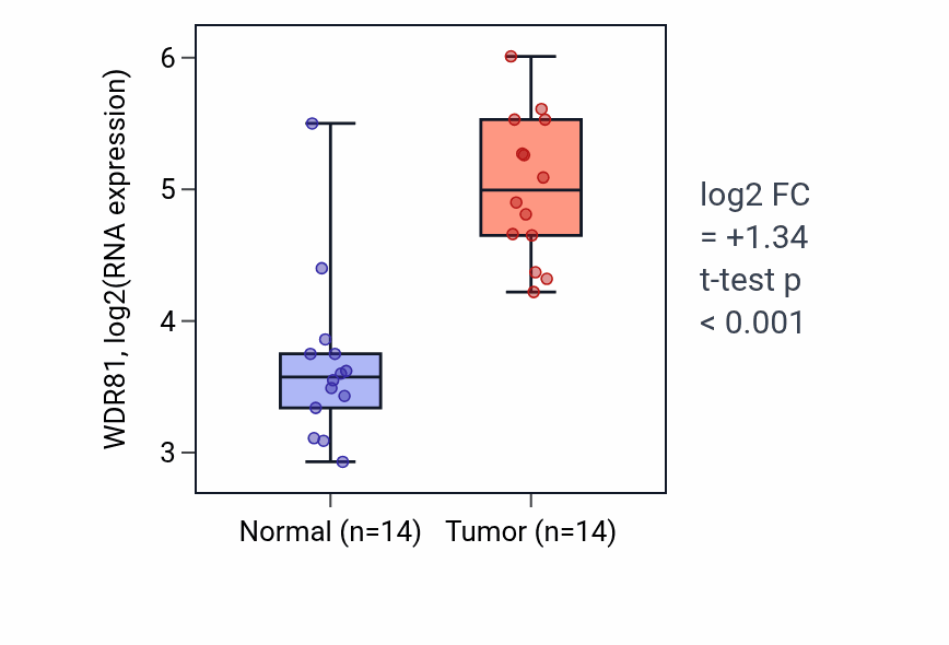 Tumor-vs-normal expression box plot for WDR81 RNA in KIRC.