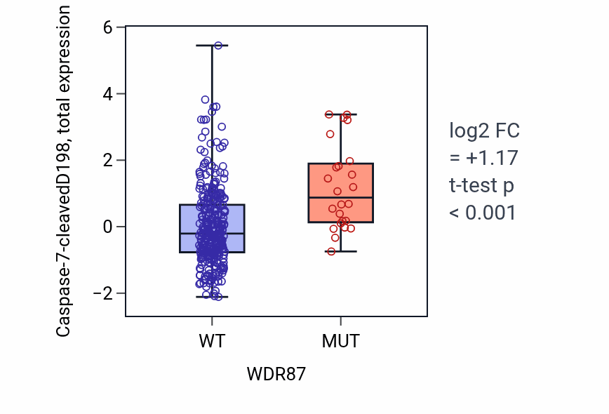 Box plot of Caspase-7-cleavedD198 in WDR87-low vs WDR87-high samples in COAD.