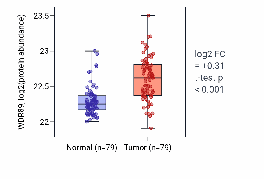 Tumor-vs-normal mass-spec protein box plot for WDR89 in LSCC.