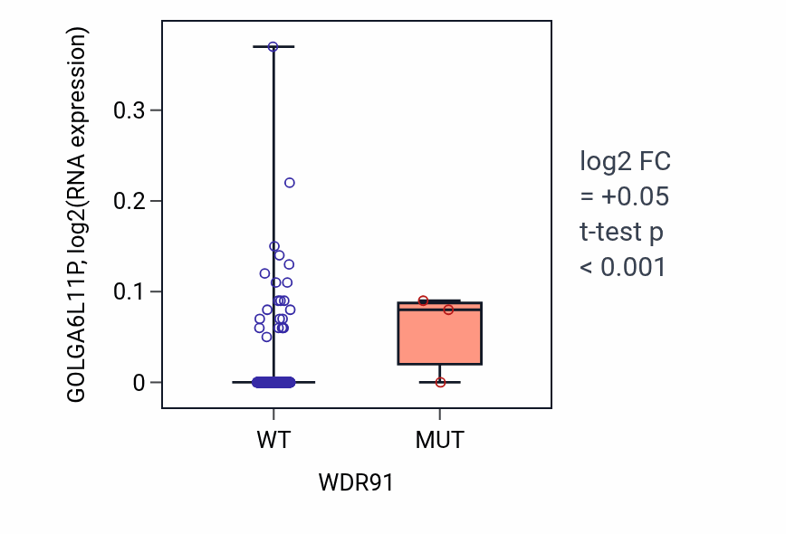Box plot of GOLGA6L11P in WDR91-low vs WDR91-high samples in HNSC.