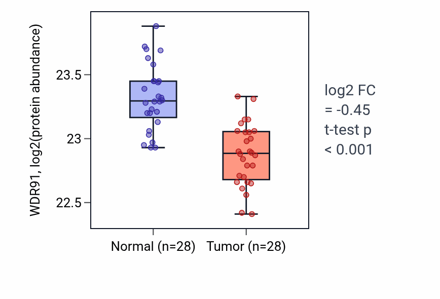 Tumor-vs-normal mass-spec protein box plot for WDR91 in COAD.