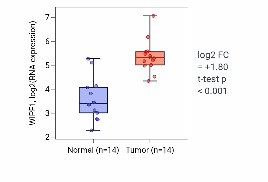 Tumor-vs-normal expression box plot for WIPF1 RNA in KIRC.