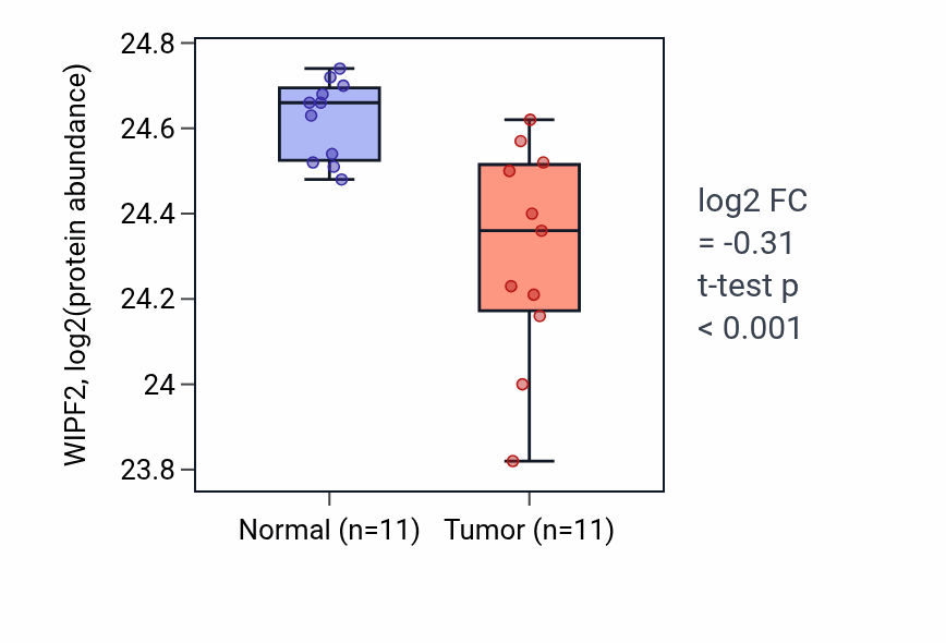 Tumor-vs-normal mass-spec protein box plot for WIPF2 in CCRCC.