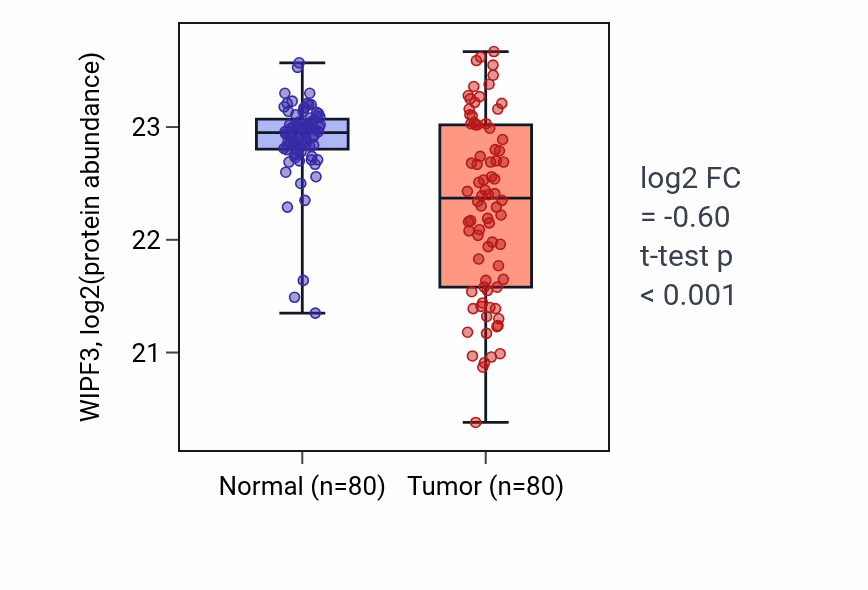 Tumor-vs-normal mass-spec protein box plot for WIPF3 in CCRCC.