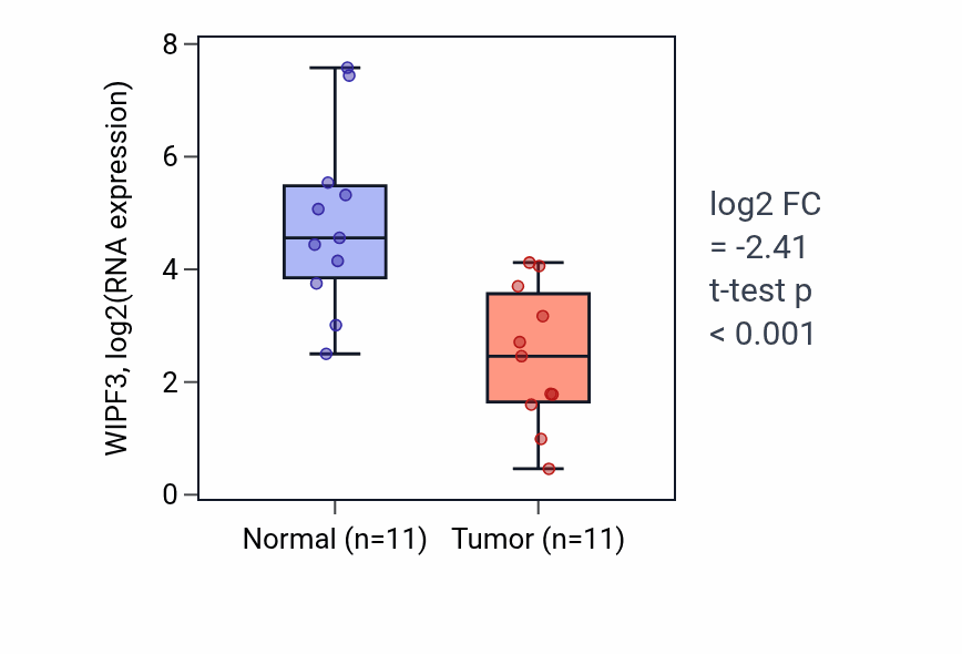 Tumor-vs-normal expression box plot for WIPF3 RNA in UCEC.