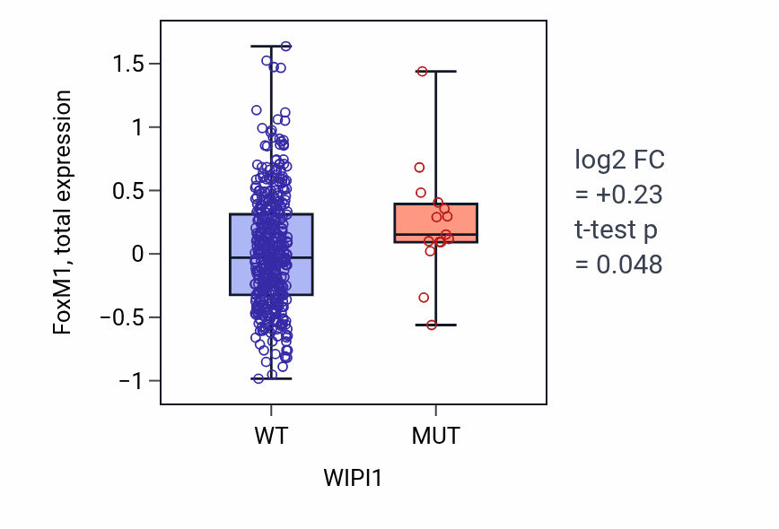 Box plot of FoxM1 in WIPI1-low vs WIPI1-high samples in UCEC.