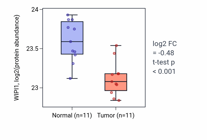Tumor-vs-normal mass-spec protein box plot for WIPI1 in CCRCC.