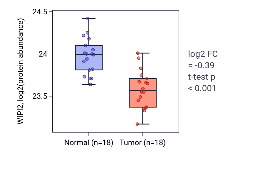 Tumor-vs-normal mass-spec protein box plot for WIPI2 in PDAC.