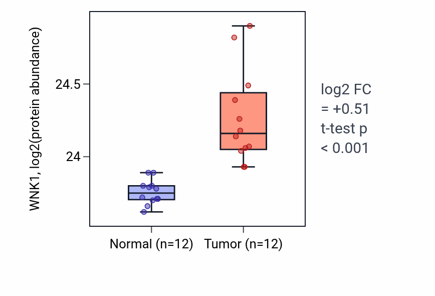 Tumor-vs-normal mass-spec protein box plot for WNK1 in CCRCC.