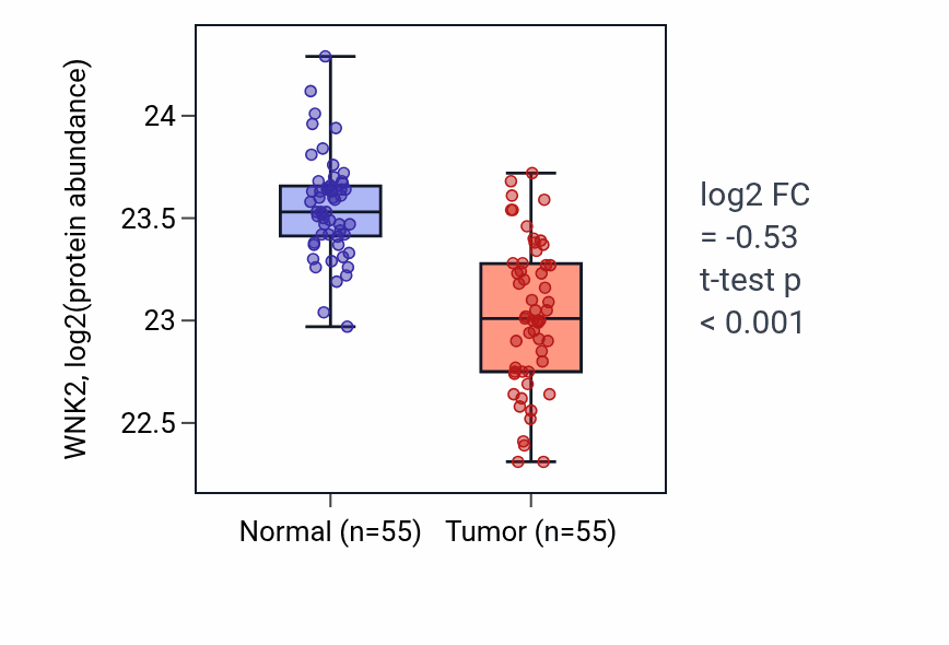 Tumor-vs-normal mass-spec protein box plot for WNK2 in COAD.