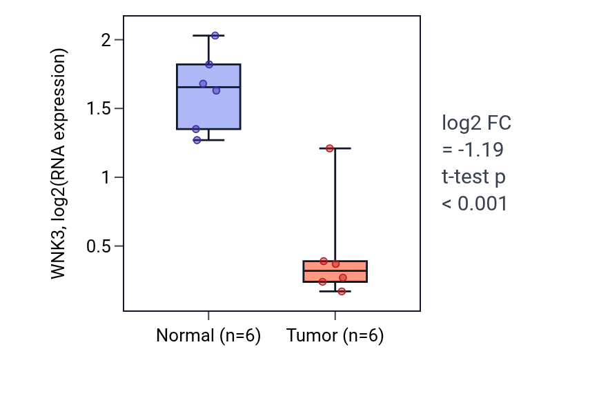 Tumor-vs-normal expression box plot for WNK3 in KIRC.