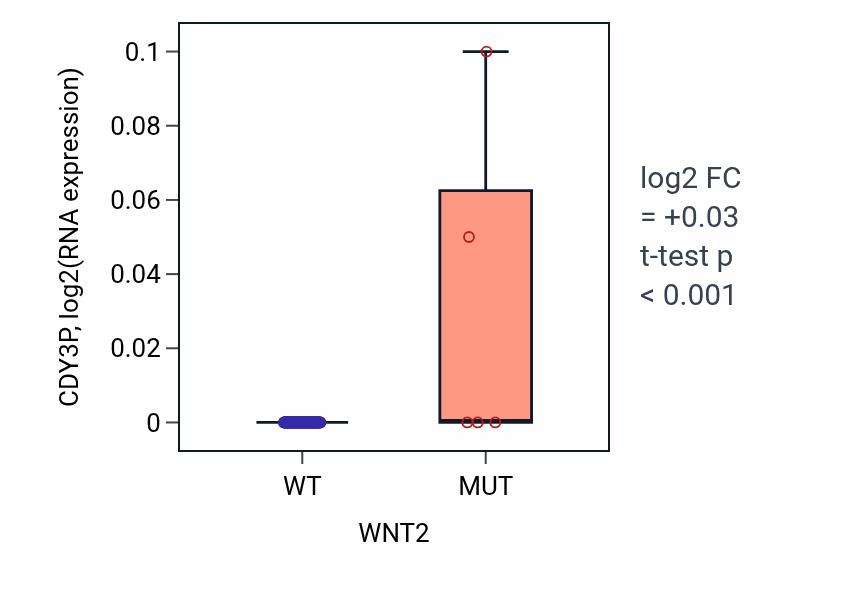 Box plot of CDY3P in WNT2-low vs WNT2-high samples in READ.
