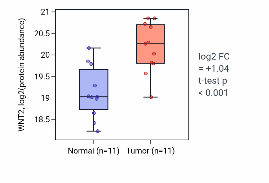 Tumor-vs-normal mass-spec protein box plot for WNT2 in PDAC.