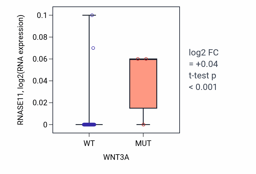 Box plot of RNASE11 in WNT3A-low vs WNT3A-high samples in BLOOD_Leukemia.