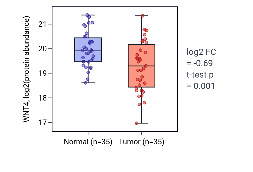 Tumor-vs-normal mass-spec protein box plot for WNT4 in HNSC.