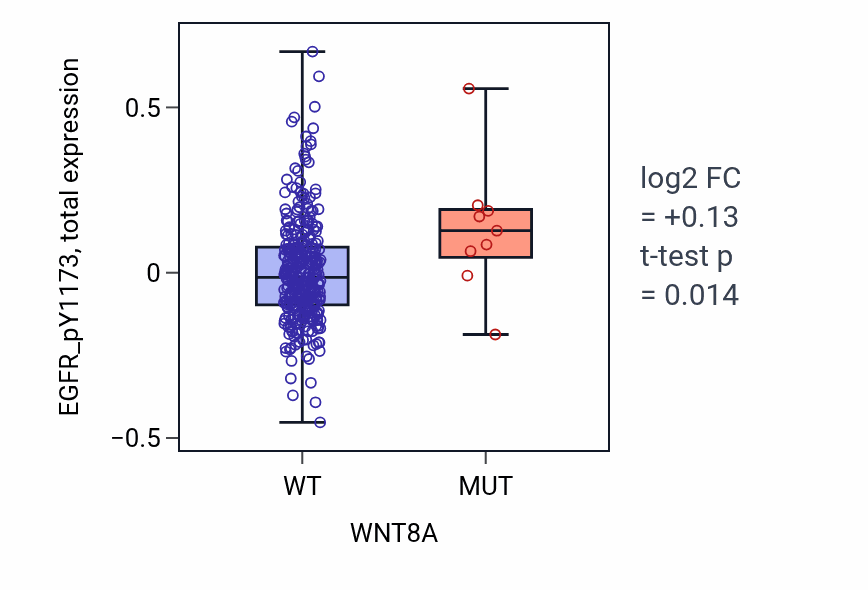 Box plot of EGFR_pY1173 in WNT8A-low vs WNT8A-high samples in SKCM.