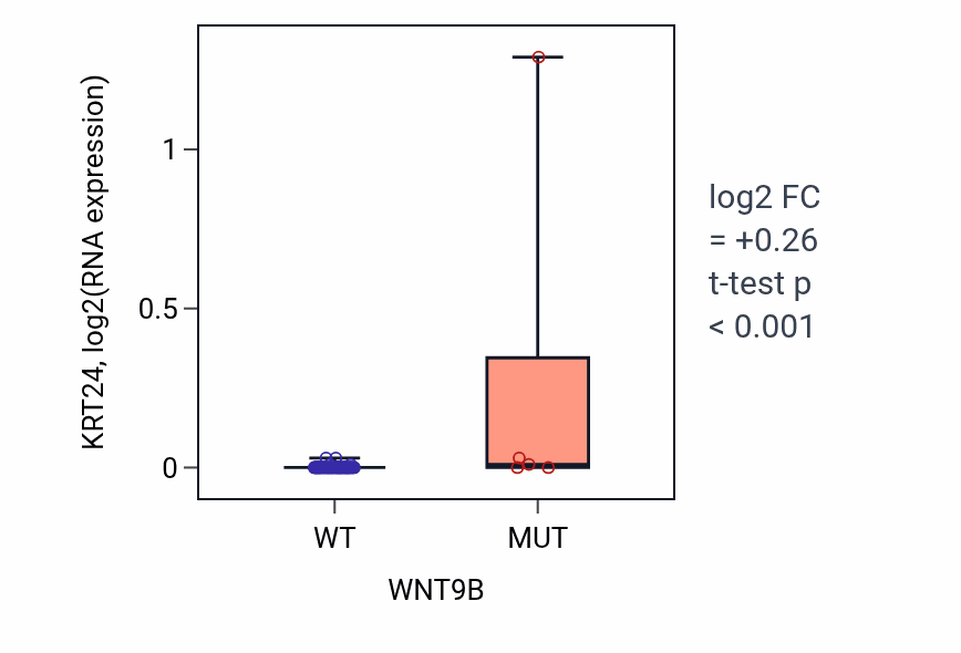 Box plot of KRT24 in WNT9B-low vs WNT9B-high samples in SKIN.