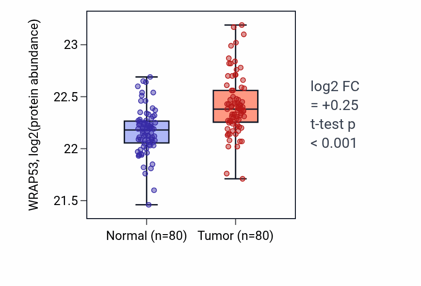 Tumor-vs-normal mass-spec protein box plot for WRAP53 in CCRCC.