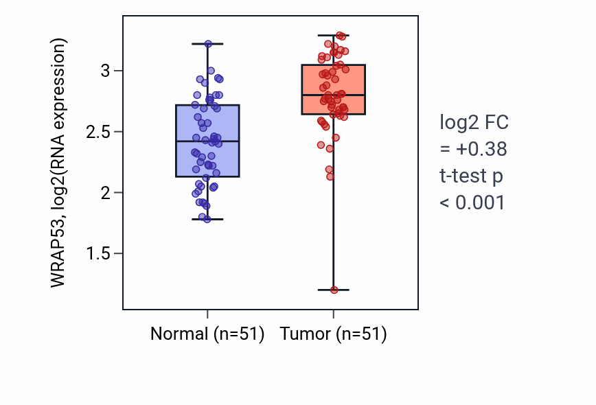 Tumor-vs-normal expression box plot for WRAP53 RNA in KIRC.