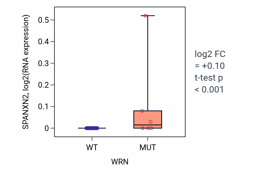 Box plot of SPANXN2 in WRN-low vs WRN-high samples in BLOOD_Lymphoma.