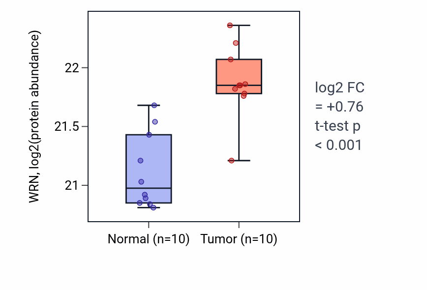 Tumor-vs-normal mass-spec protein box plot for WRN in CCRCC.