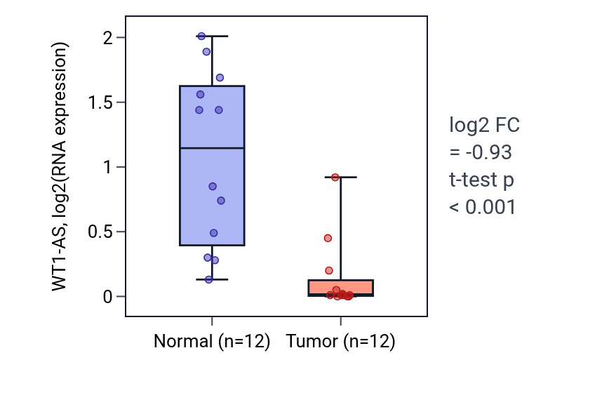 Tumor-vs-normal expression box plot for WT1-AS in KIRC.