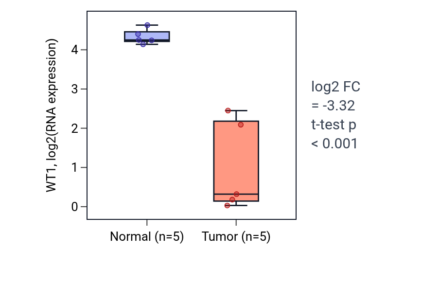 Tumor-vs-normal expression box plot for WT1 in KIRP.