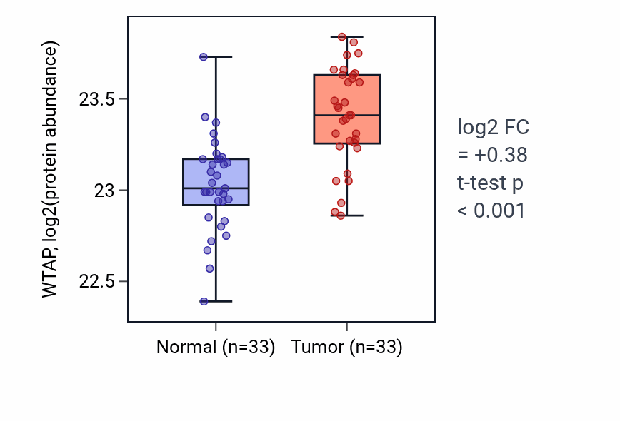 Tumor-vs-normal mass-spec protein box plot for WTAP in COAD.