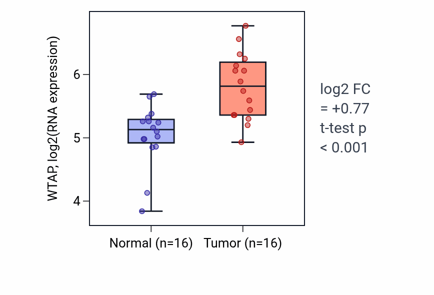 Tumor-vs-normal expression box plot for WTAP RNA in HNSC.