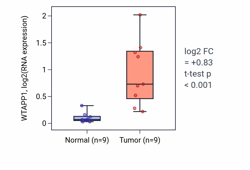 Tumor-vs-normal expression box plot for WTAPP1 in HNSC.