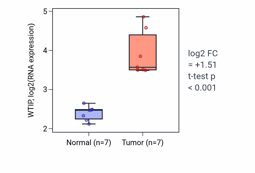 Tumor-vs-normal expression box plot for WTIP RNA in THCA.