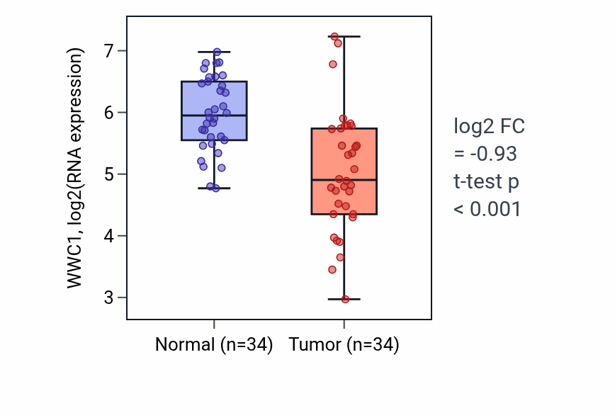 Tumor-vs-normal expression box plot for WWC1 RNA in KIRC.