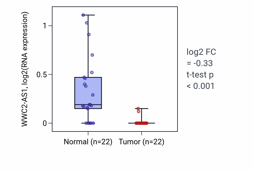 Tumor-vs-normal expression box plot for WWC2-AS1 RNA in KICH.
