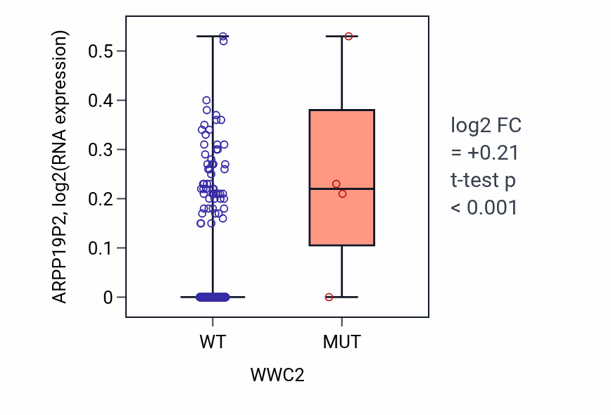 Box plot of ARPP19P2 in WWC2-low vs WWC2-high samples in HNSC.