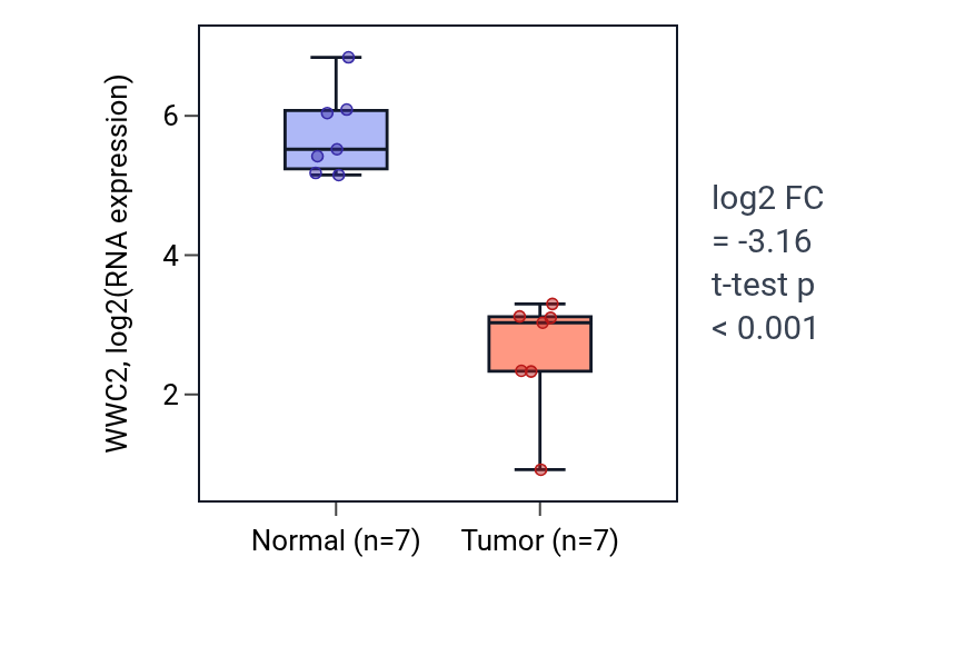 Tumor-vs-normal expression box plot for WWC2 in LUSC.