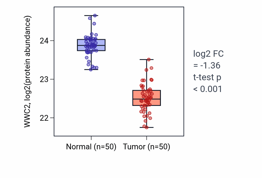 Tumor-vs-normal mass-spec protein box plot for WWC2 in LSCC.