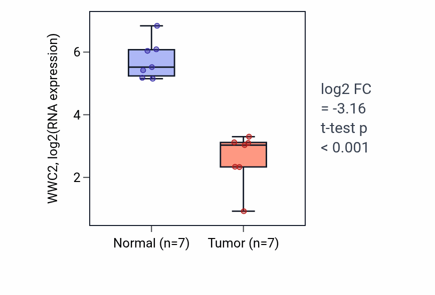 Tumor-vs-normal expression box plot for WWC2 RNA in LUSC.
